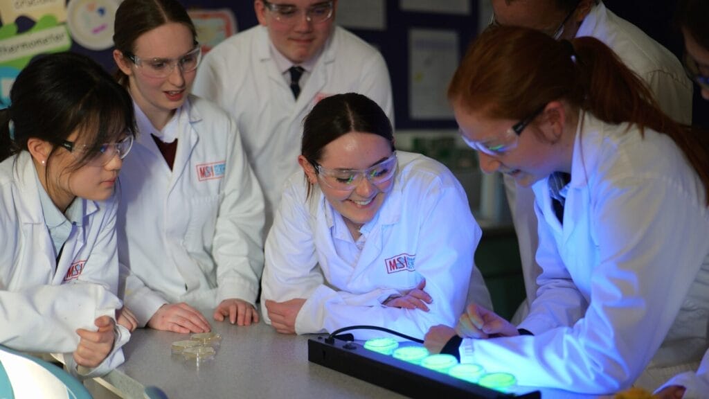 Top University Offers for Medicine and Veterinary Science in 2025
